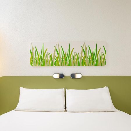 Ibis Budget Lyon Sud St Genis Laval Saint-Genis-Laval Exterior foto